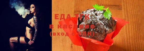 индика Вязьма