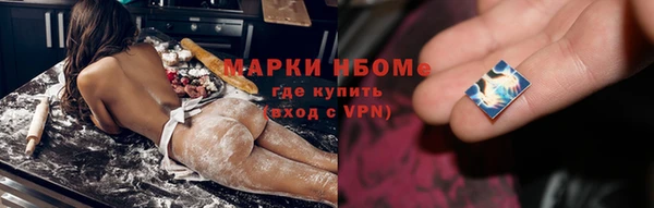индика Вязьма