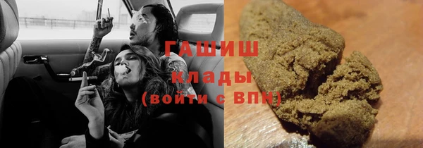 индика Семёнов