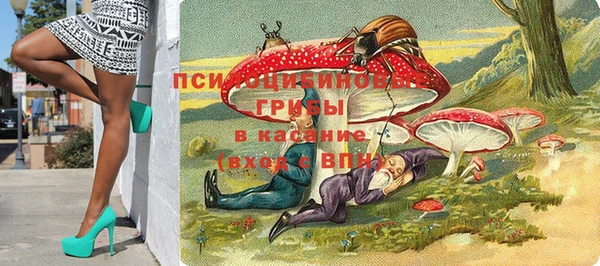 2c-b Бородино