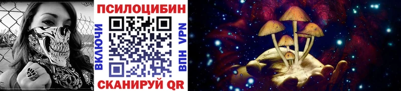 Галлюциногенные грибы прущие грибы  купить наркоту  Заречный 